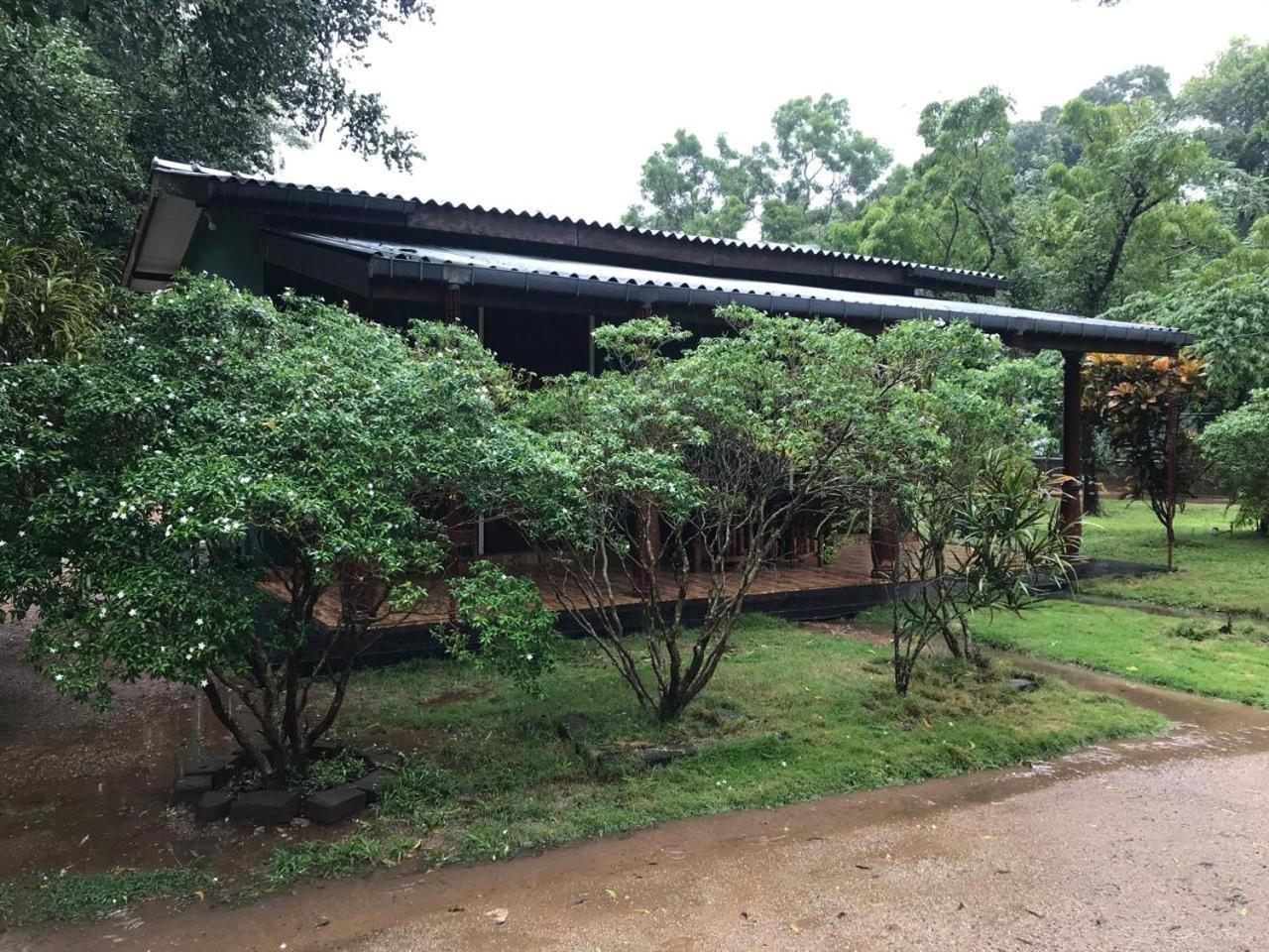 Greenwood Hotel Sigiriya Exteriör bild