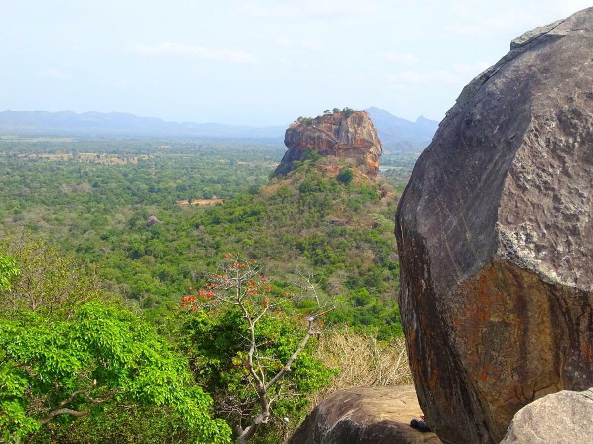 Greenwood Hotel Sigiriya Exteriör bild
