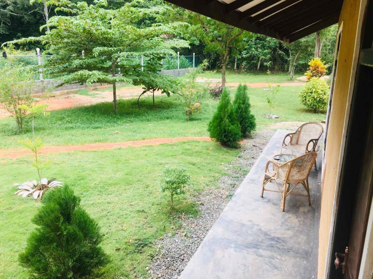 Greenwood Hotel Sigiriya Exteriör bild