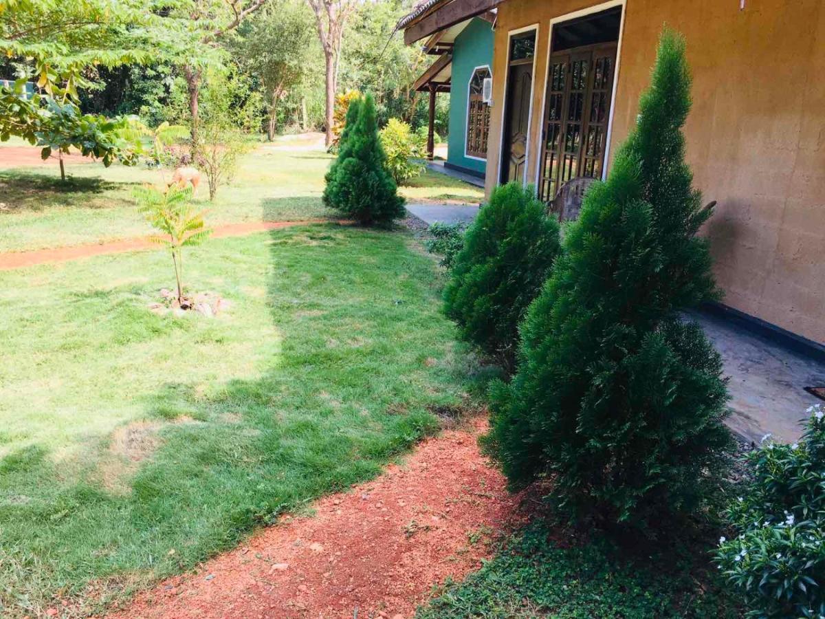 Greenwood Hotel Sigiriya Exteriör bild