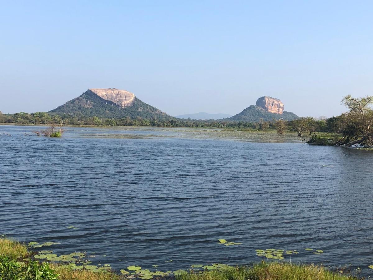 Greenwood Hotel Sigiriya Exteriör bild