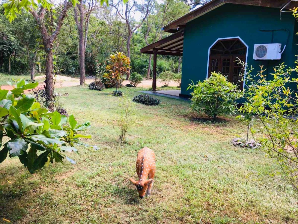Greenwood Hotel Sigiriya Exteriör bild